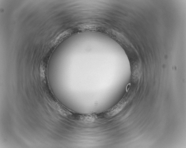 X0000060260282200511112029