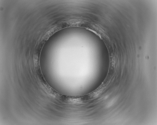 X0000060260283200511112029