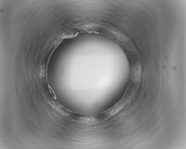 X0000060260284200511112029