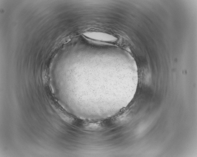 X0000060260285200511112029