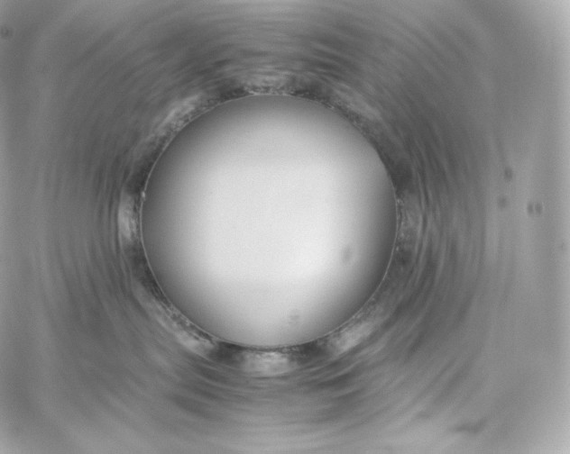 X0000060260287200511112029