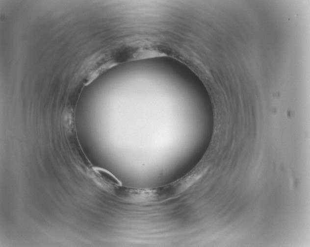 X0000060260288200511112029