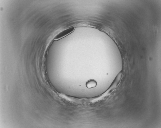 X0000060260289200511112028