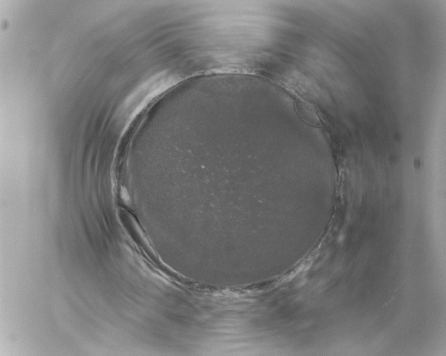 X0000060260290200511112028