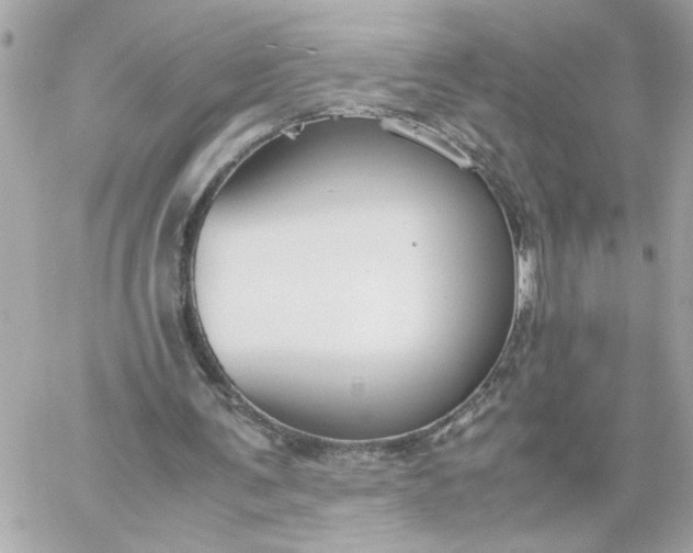 X0000060260291200511112028