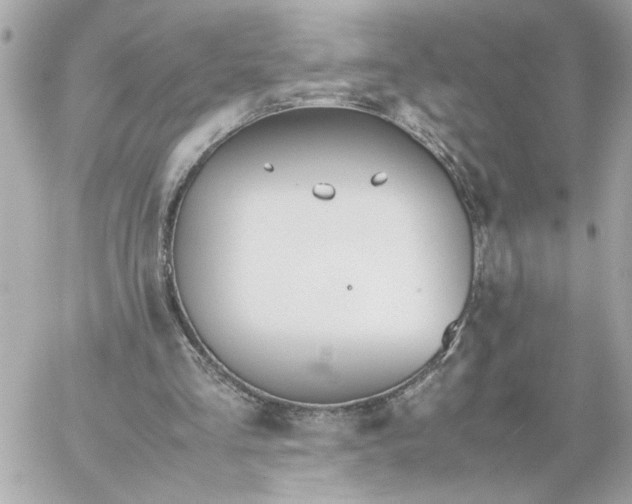 X0000060260293200511112028