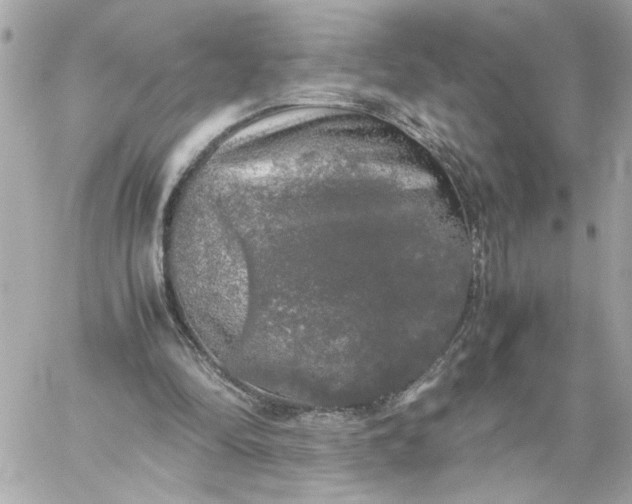 X0000060260294200511112028