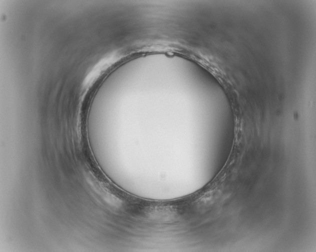 X0000060260296200511112028