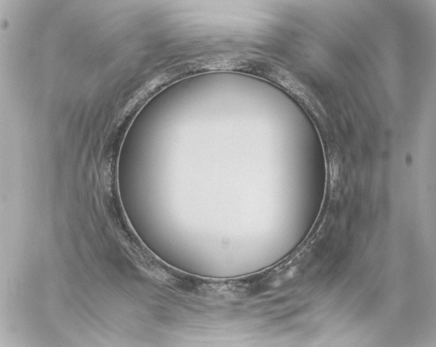 X0000060260297200511112028