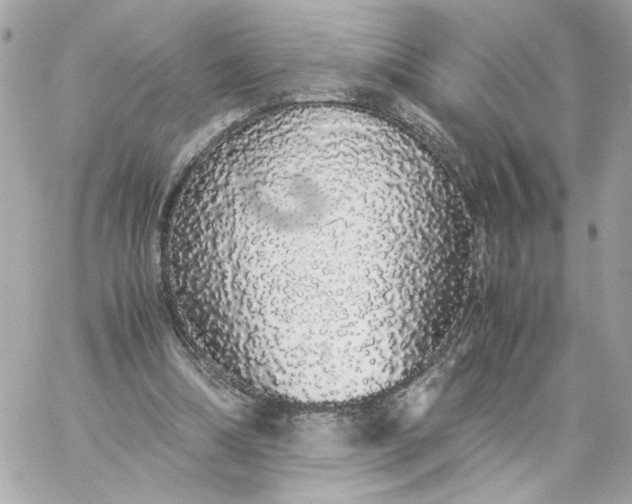 X0000060260298200511112028