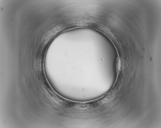 X0000060260299200511112028