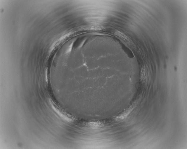 X0000060260302200511112028