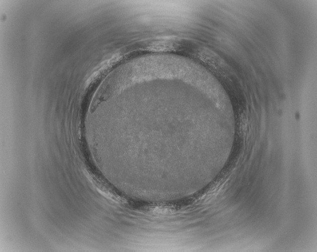 X0000060260303200511112028