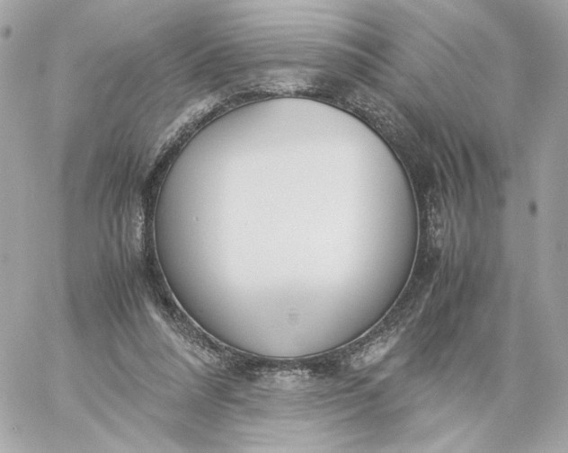 X0000060260304200511112028