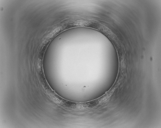 X0000060260305200511112028