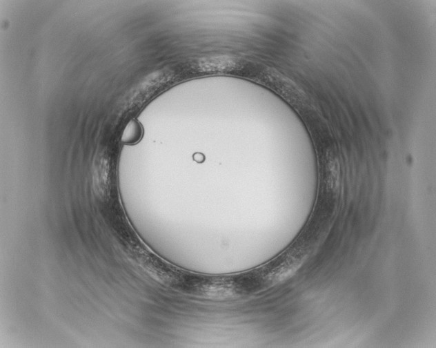 X0000060260308200511112028