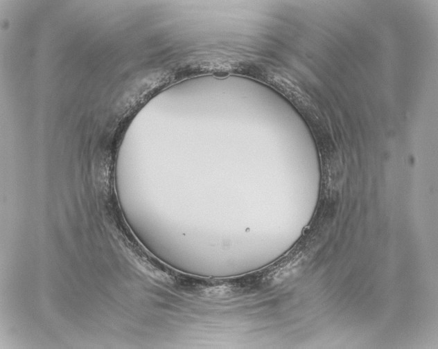 X0000060260309200511112028