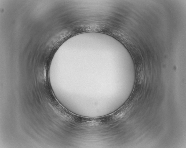 X0000060260310200511112028