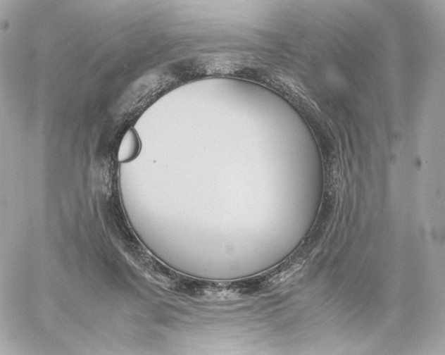 X0000060260311200511112028