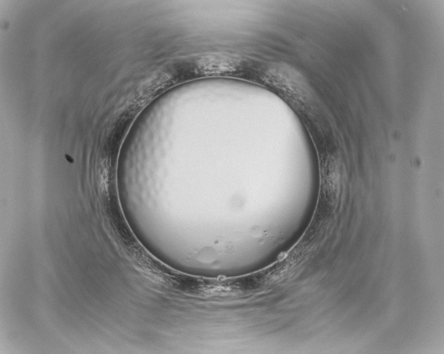 X0000060260315200511112028