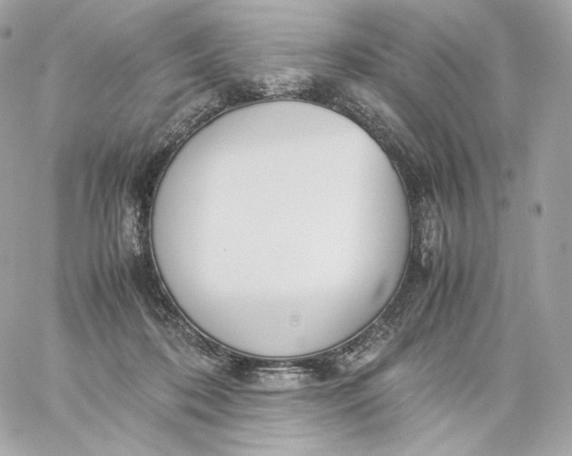 X0000060260316200511112028