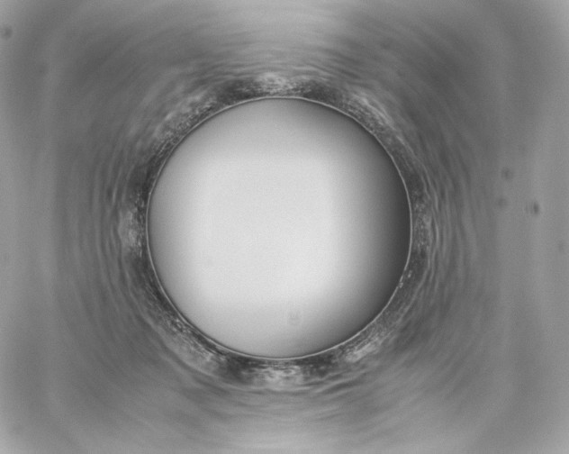 X0000060260317200511112028