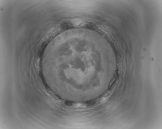 X0000060260319200511112028