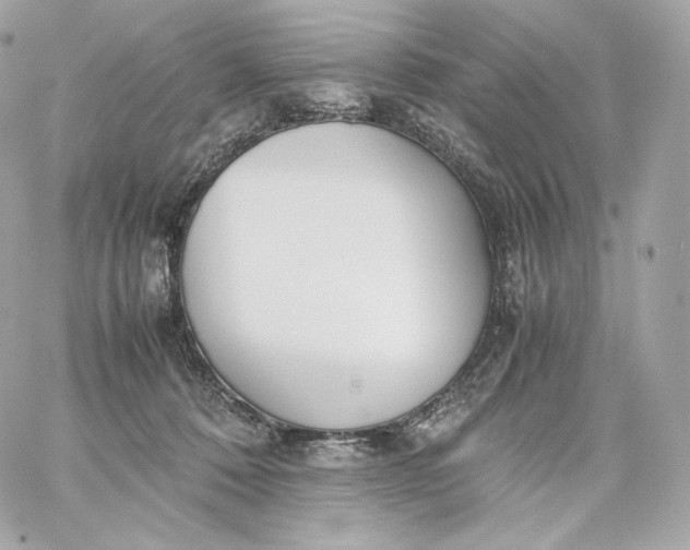 X0000060260320200511112028