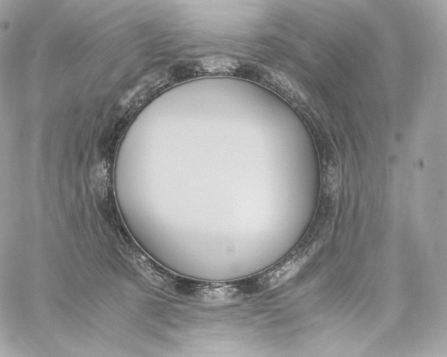 X0000060260321200511112028