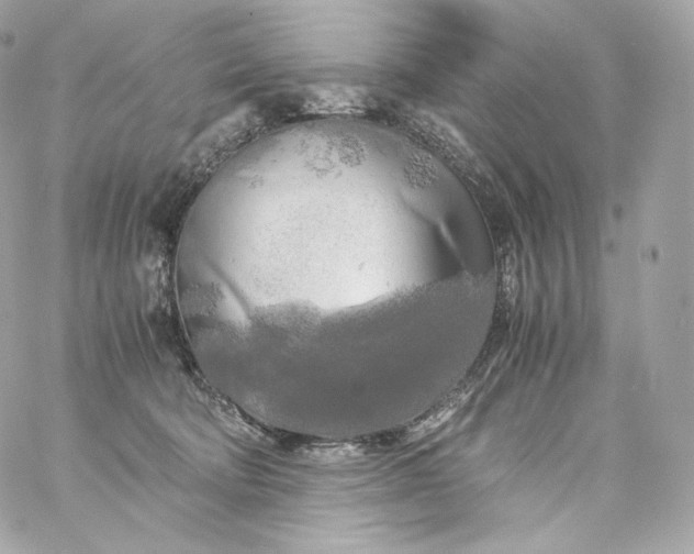 X0000060260322200511112028