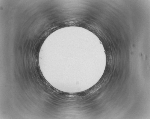 X0000060260324200511112028