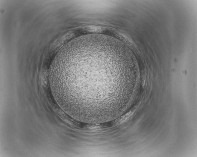 X0000060260325200511112028