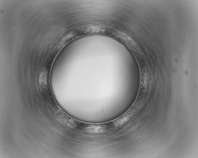 X0000060260326200511112028