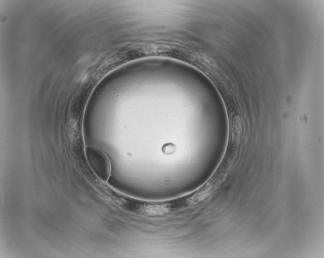 X0000060260327200511112028