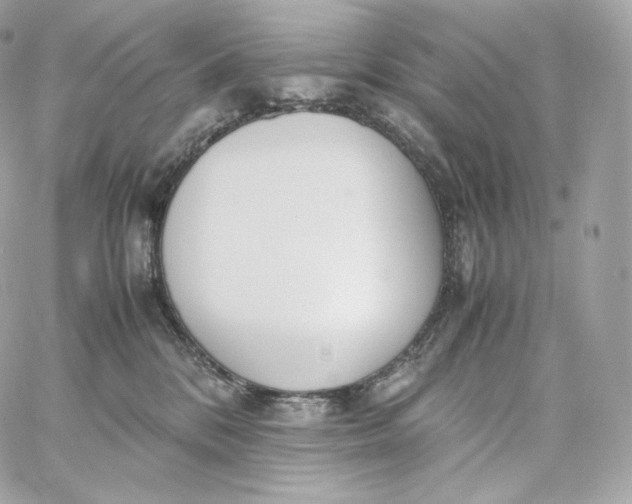 X0000060260328200511112028