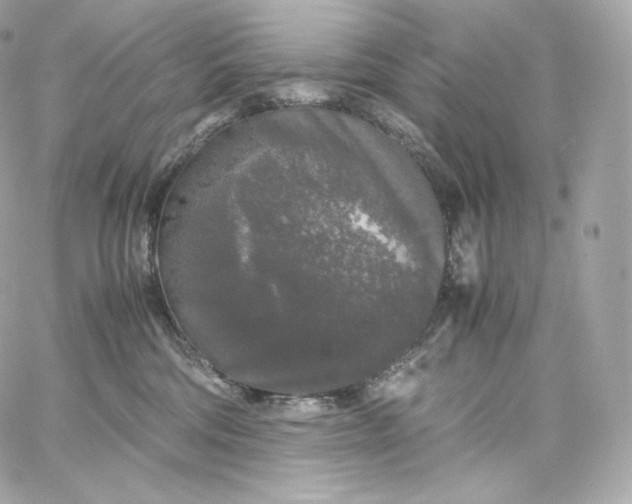 X0000060260330200511112028