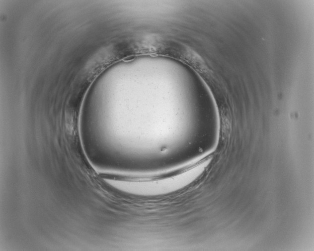 X0000060260331200511112028