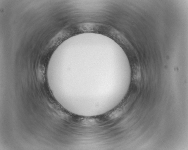 X0000060260332200511112028