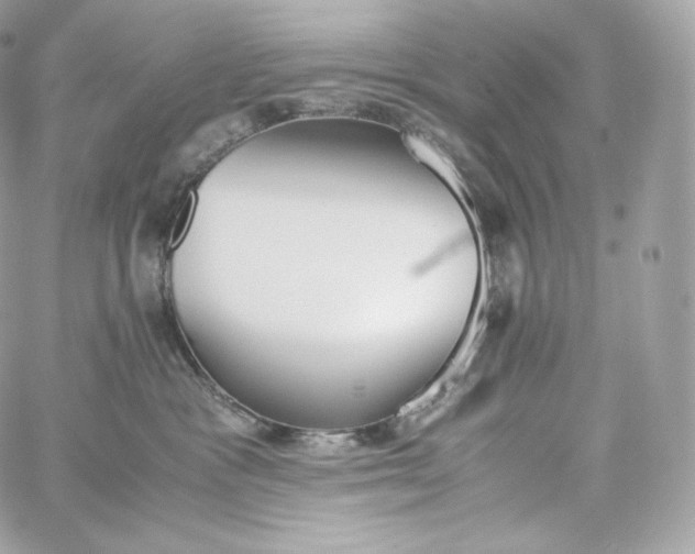 X0000060260333200511112028