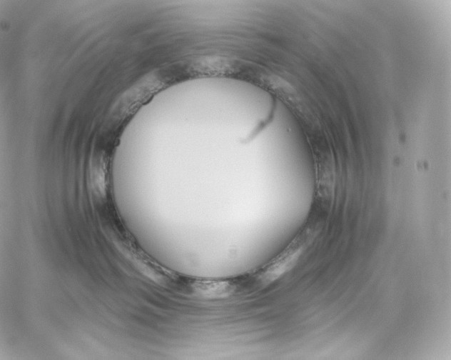 X0000060260334200511112028