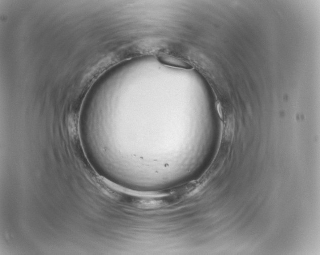 X0000060260335200511112027