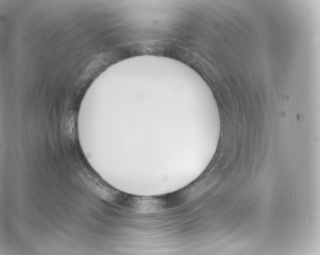 X0000060260336200511112027