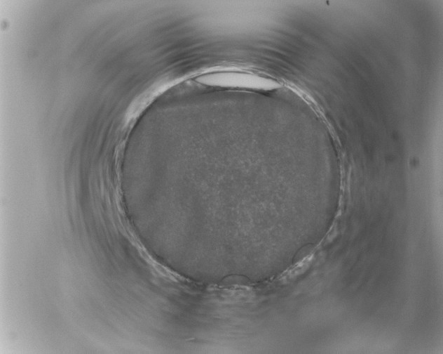 X0000060260337200511112027