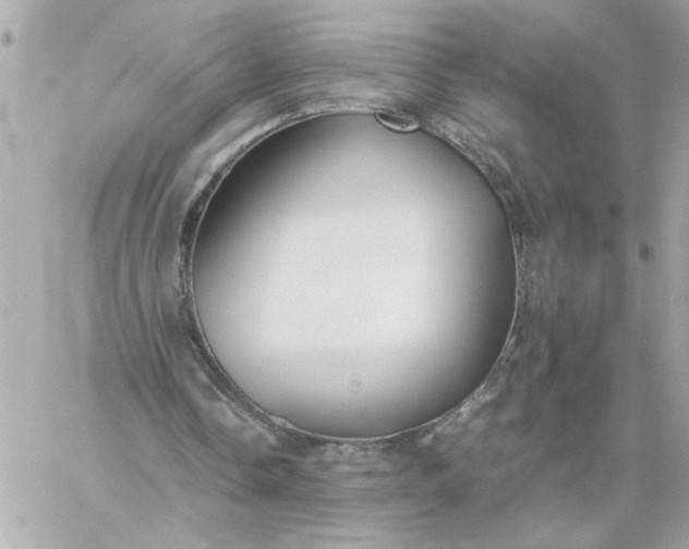 X0000060260338200511112027