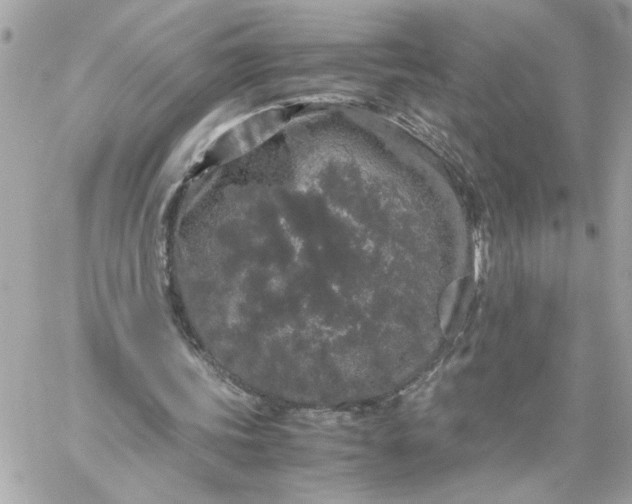 X0000060260339200511112027