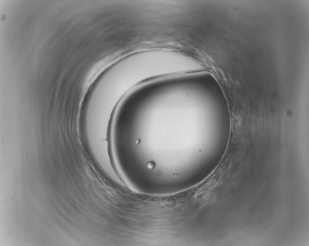 X0000060260340200511112027