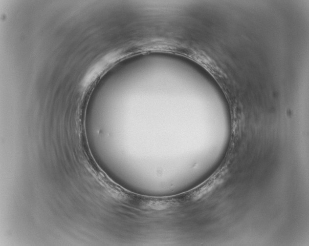 X0000060260341200511112027