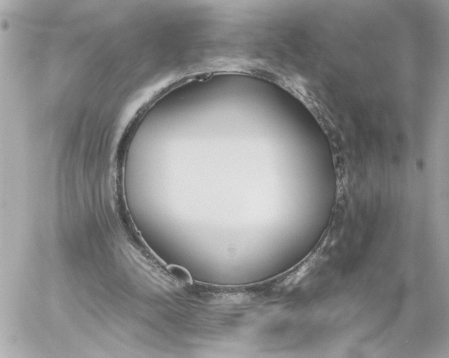 X0000060260342200511112027