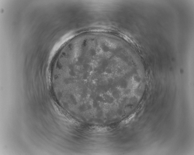 X0000060260343200511112027