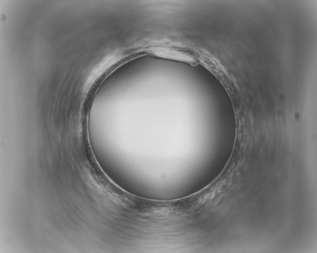 X0000060260344200511112027